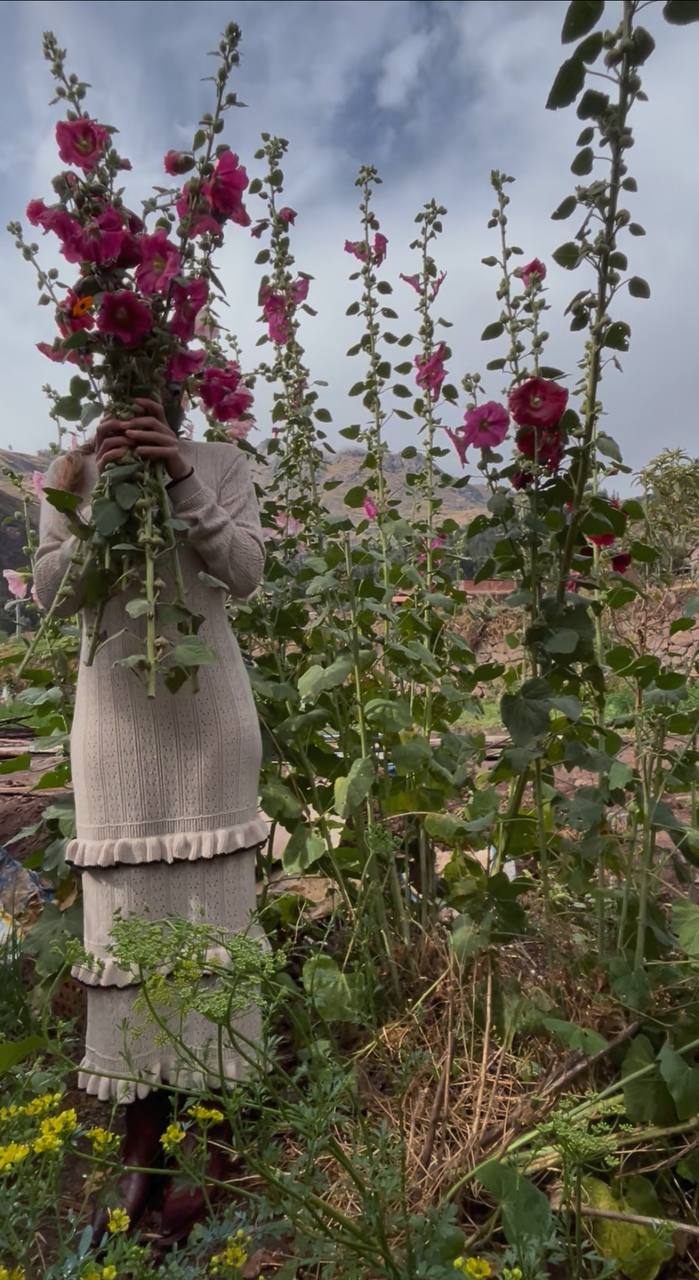 VESTIDO MOONLIGHT KNIT